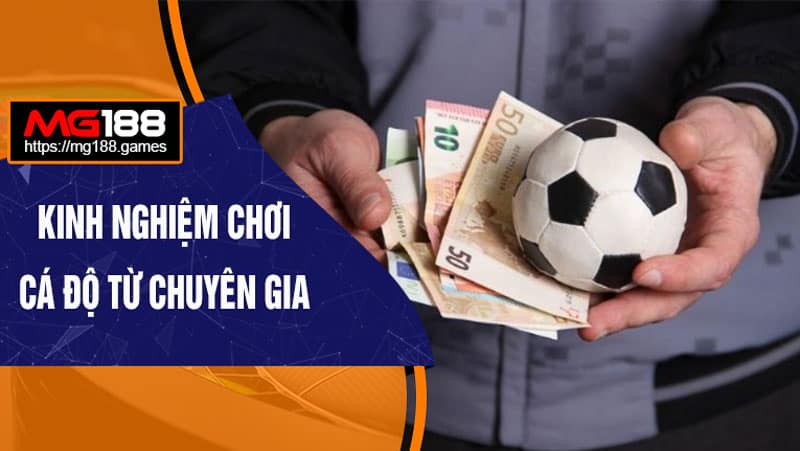 Kinh nghiệm cá độ Bóng đá từ chuyên gia