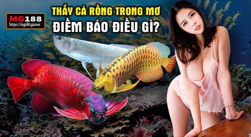 Điềm báo chiêm bao cá rồng