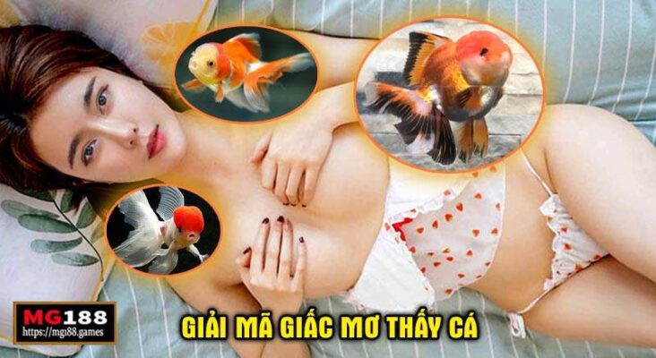 Giải mã giấc mơ thấy cá