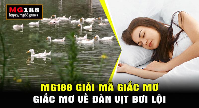 Mơ về một đàn vịt bơi lội có ý nghĩa gì