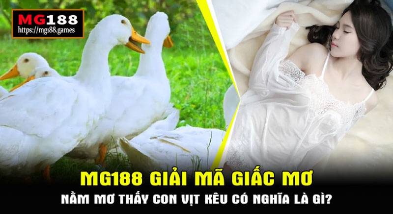 Nằm mơ thấy con vịt kêu có nghĩa là gì