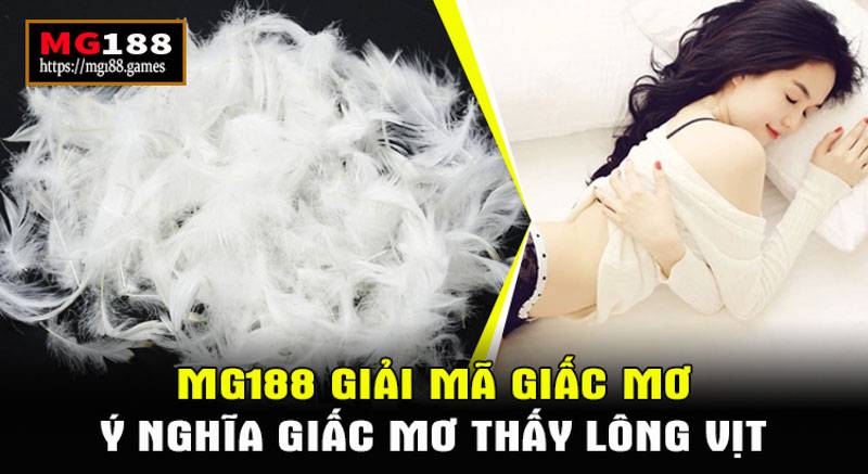 Ý nghĩa giấc mơ thấy lông vịt